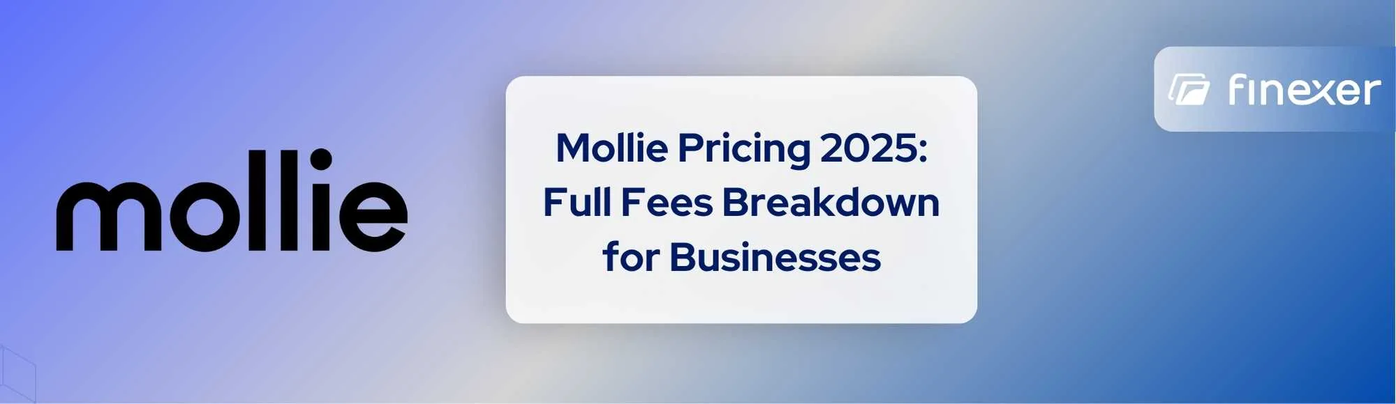 Think Mollie Is Cost-Effective? Here’s What the 2025 Pricing Really Looks Like!