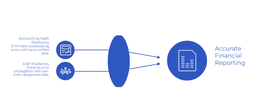 inaccurate financial statements use cases